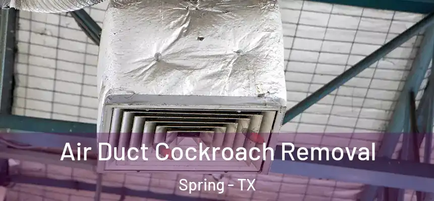 Air Duct Cockroach Removal Spring - TX