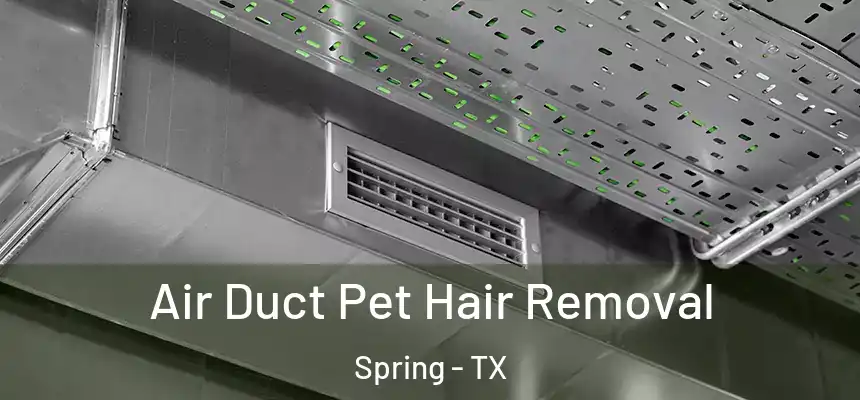  Air Duct Pet Hair Removal Spring - TX