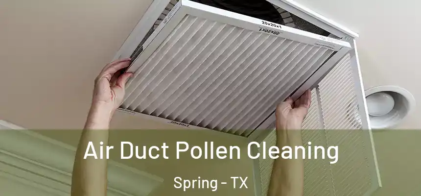 Air Duct Pollen Cleaning Spring - TX