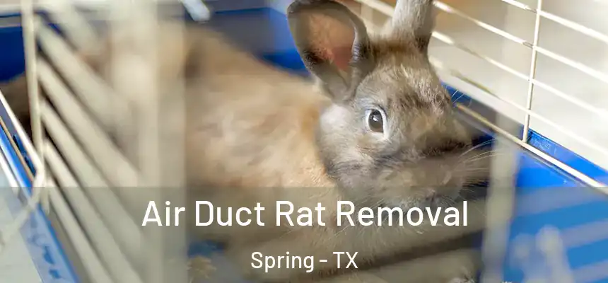 Air Duct Rat Removal Spring - TX