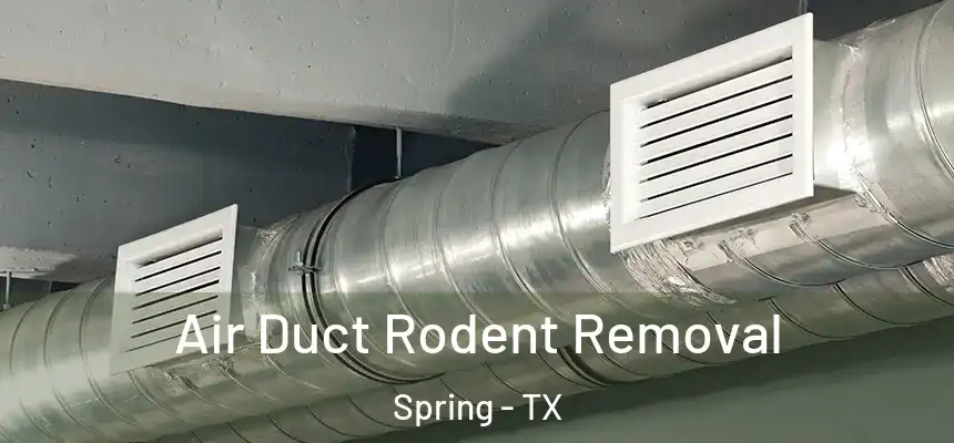  Air Duct Rodent Removal Spring - TX