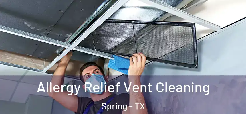 Allergy Relief Vent Cleaning Spring - TX