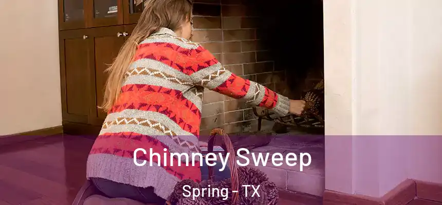  Chimney Sweep Spring - TX