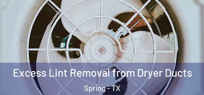 Excess Lint Removal from Dryer Ducts Spring - TX