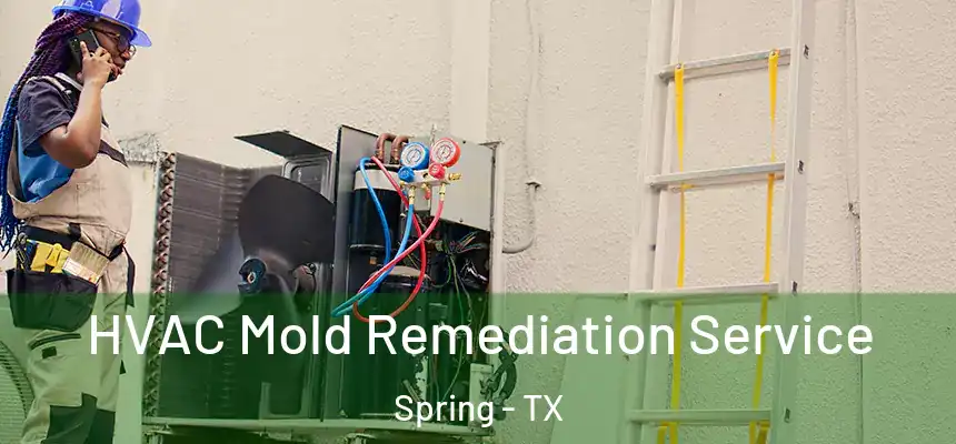 HVAC Mold Remediation Service Spring - TX