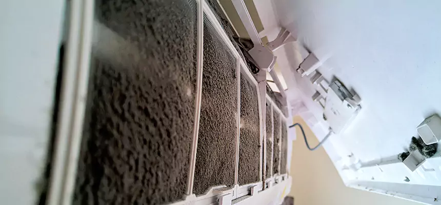 Preventive Air Duct Bacteria Removal in Spring