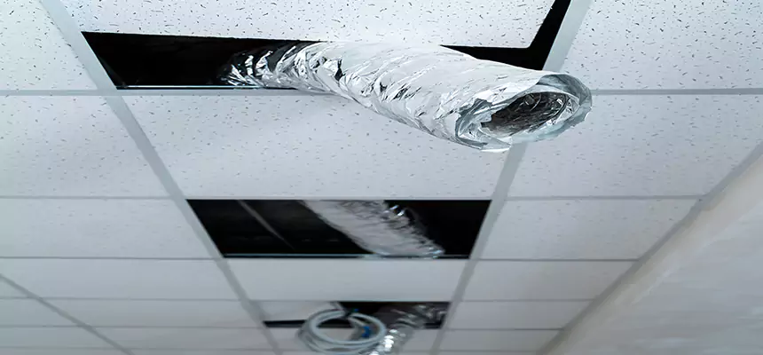 Our Air Duct Pet Hair Removal Services in Spring, TX