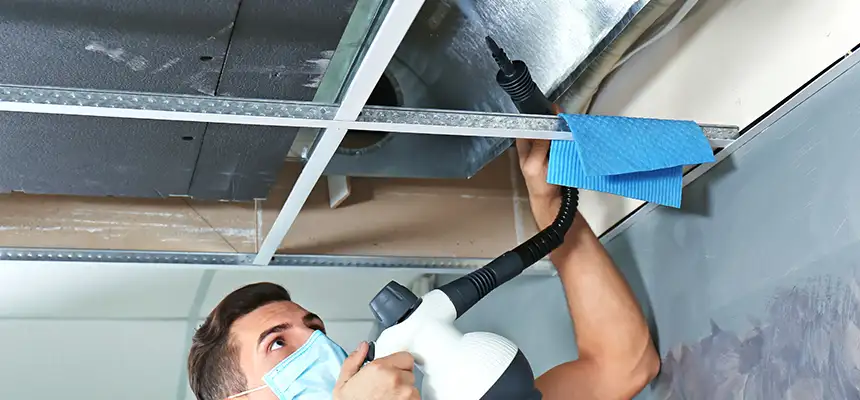 Our Air Duct Rodent Removal Services in Spring, TX