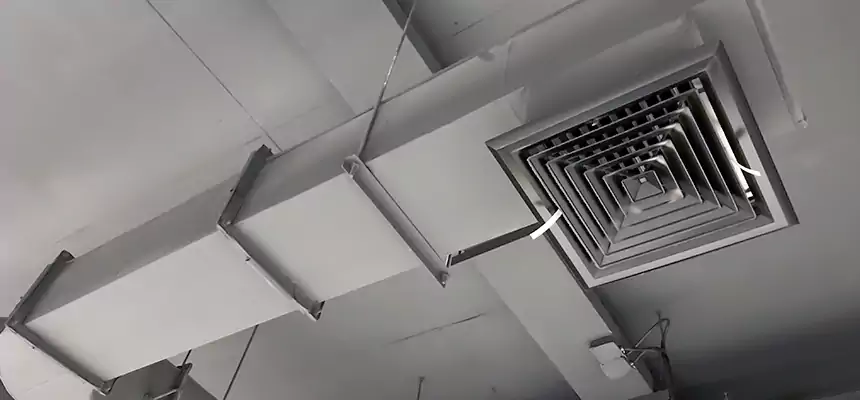 Our Pest Removal From Ducts Services in Spring, TX