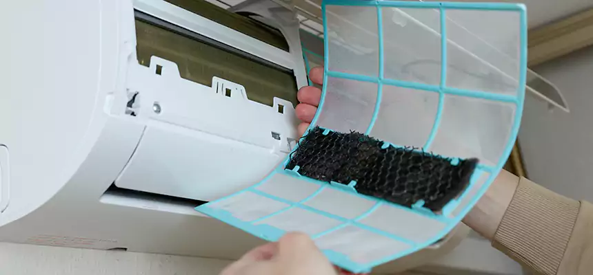 Gentle Ductwork Odor-Control Pet Dander Duct Cleaning in Spring, TX