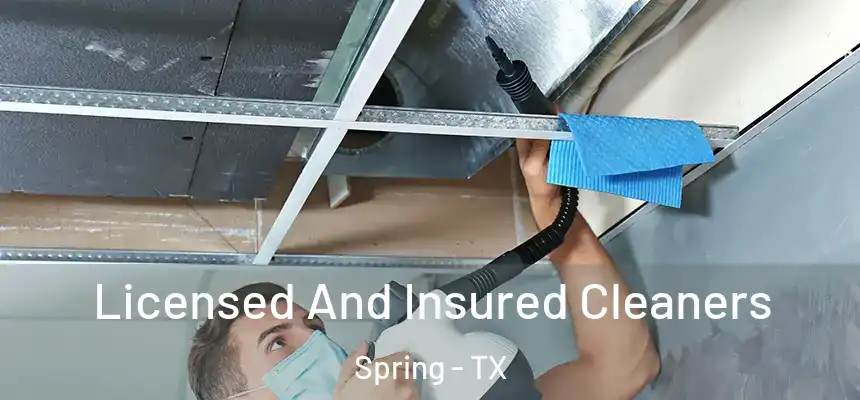 Licensed And Insured Cleaners Spring - TX