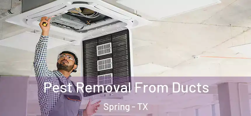 Pest Removal From Ducts Spring - TX