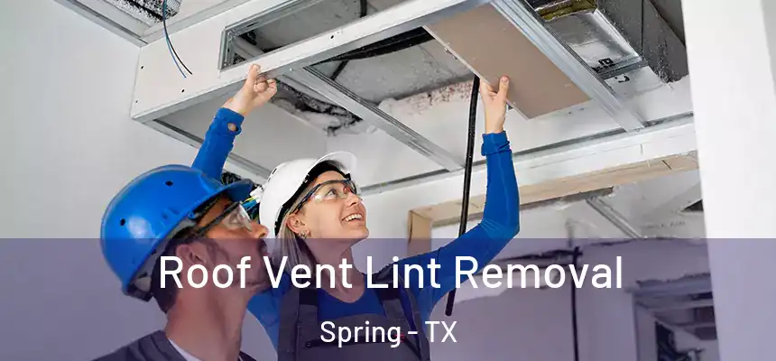 Roof Vent Lint Removal Spring - TX