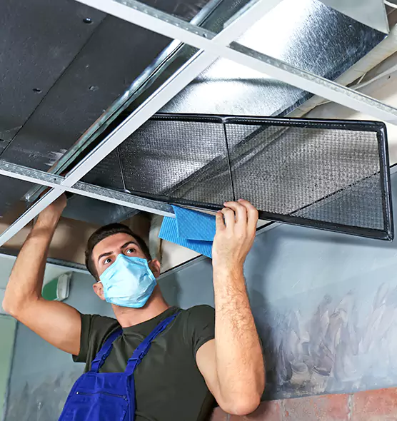 About Air Duct Bacteria Removal in Spring