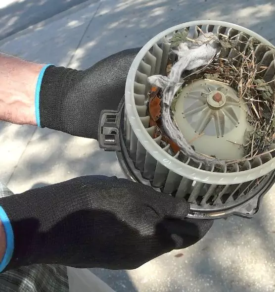 About Air Duct Rat Removal in Spring, TX