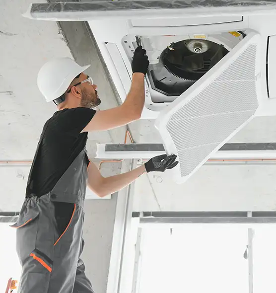 About Air Duct Rodent Removal in Spring, TX