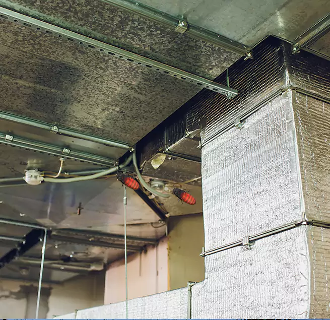 Why Homeowners & Businesses Trust Us in Spring, TX?